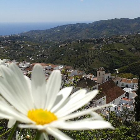Casa Ana, Fantasticas Vistas A Frigiliana, El Mar Y La Montana Villa Dış mekan fotoğraf