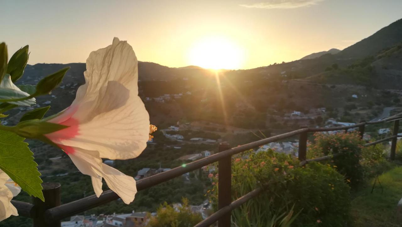 Casa Ana, Fantasticas Vistas A Frigiliana, El Mar Y La Montana Villa Dış mekan fotoğraf