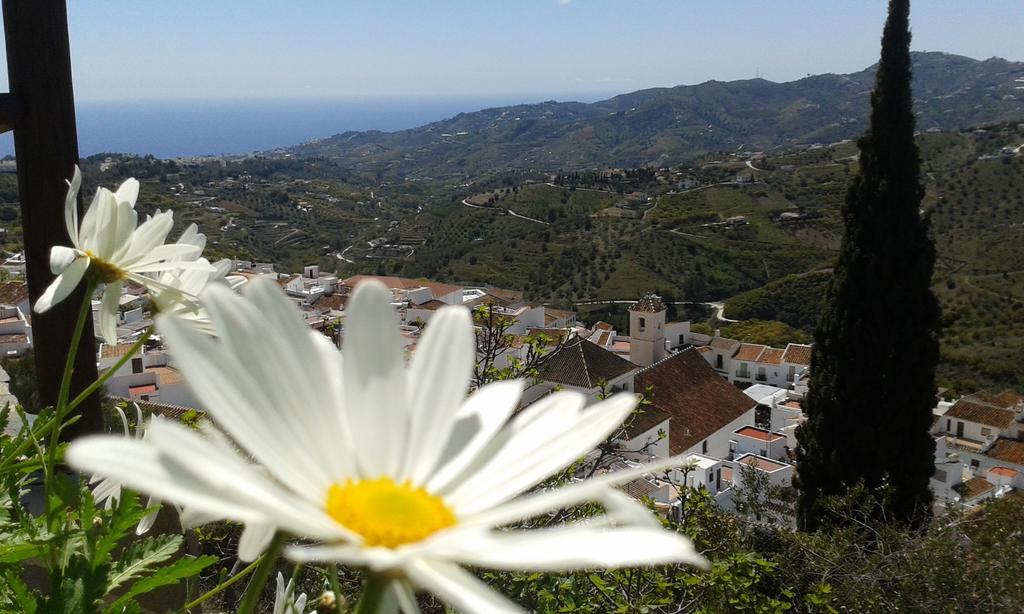 Casa Ana, Fantasticas Vistas A Frigiliana, El Mar Y La Montana Villa Dış mekan fotoğraf