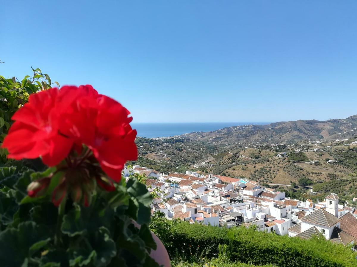 Casa Ana, Fantasticas Vistas A Frigiliana, El Mar Y La Montana Villa Dış mekan fotoğraf